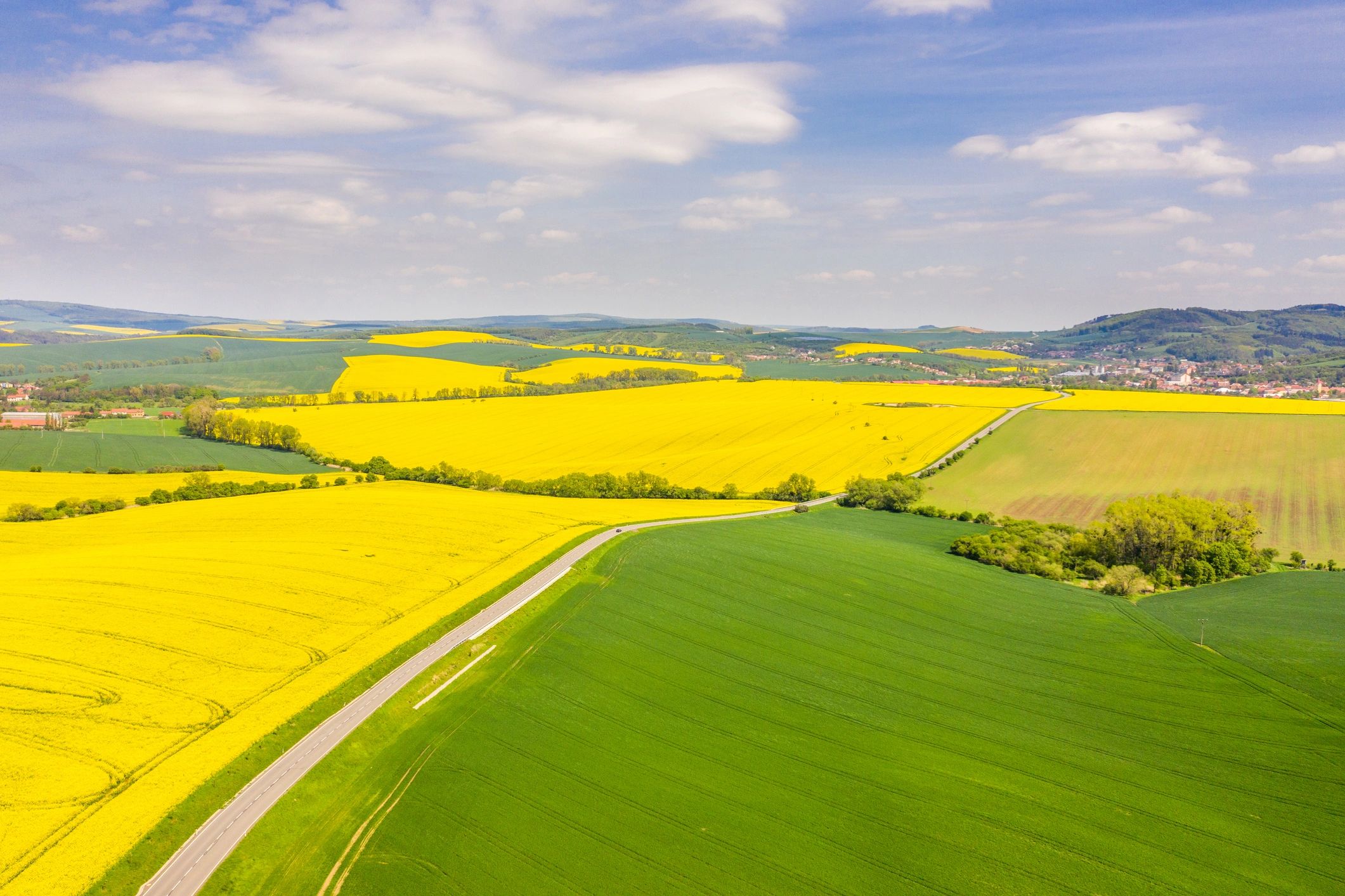 Aerial view of agricultural fields representing land planning and scale