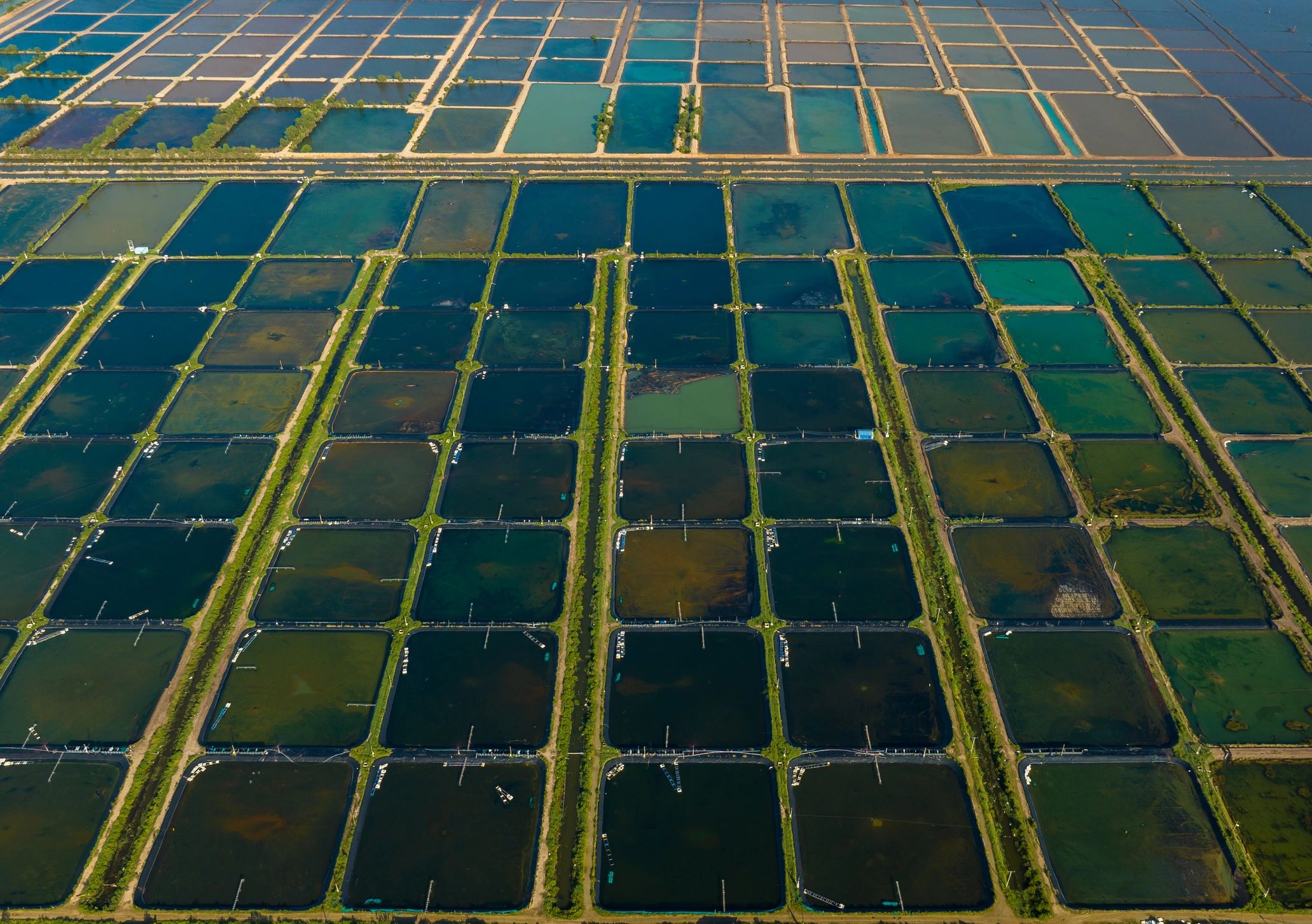 Aerial view of large-scale agricultural fields with irrigation patterns