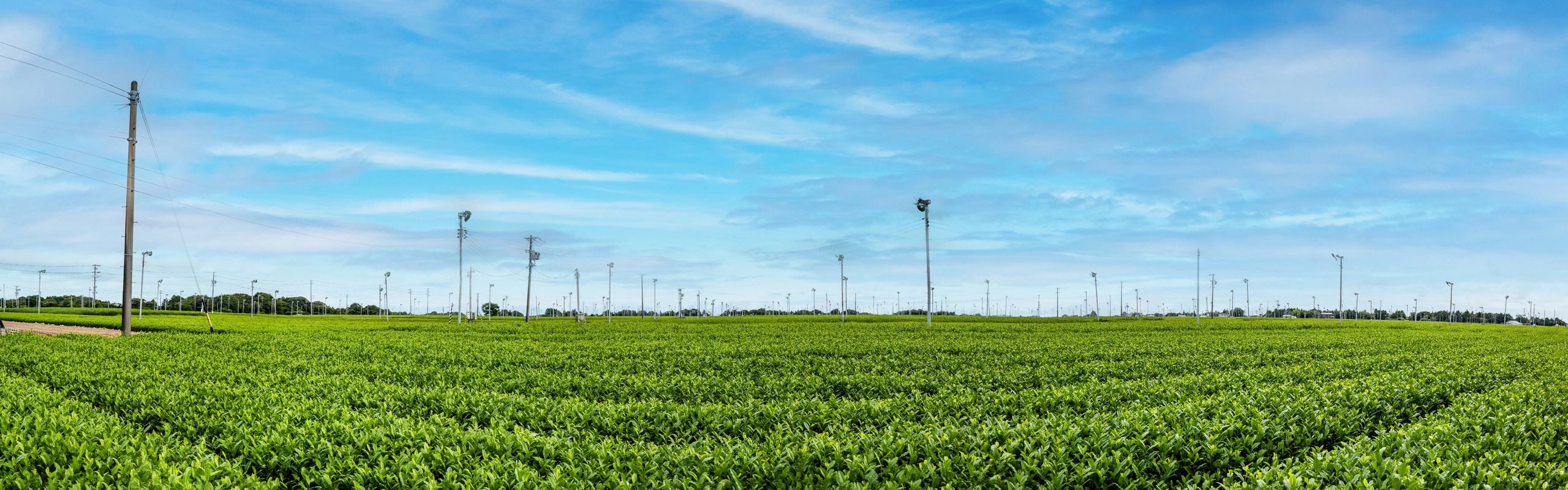 Large-scale agricultural landscape representing commercial farming potential