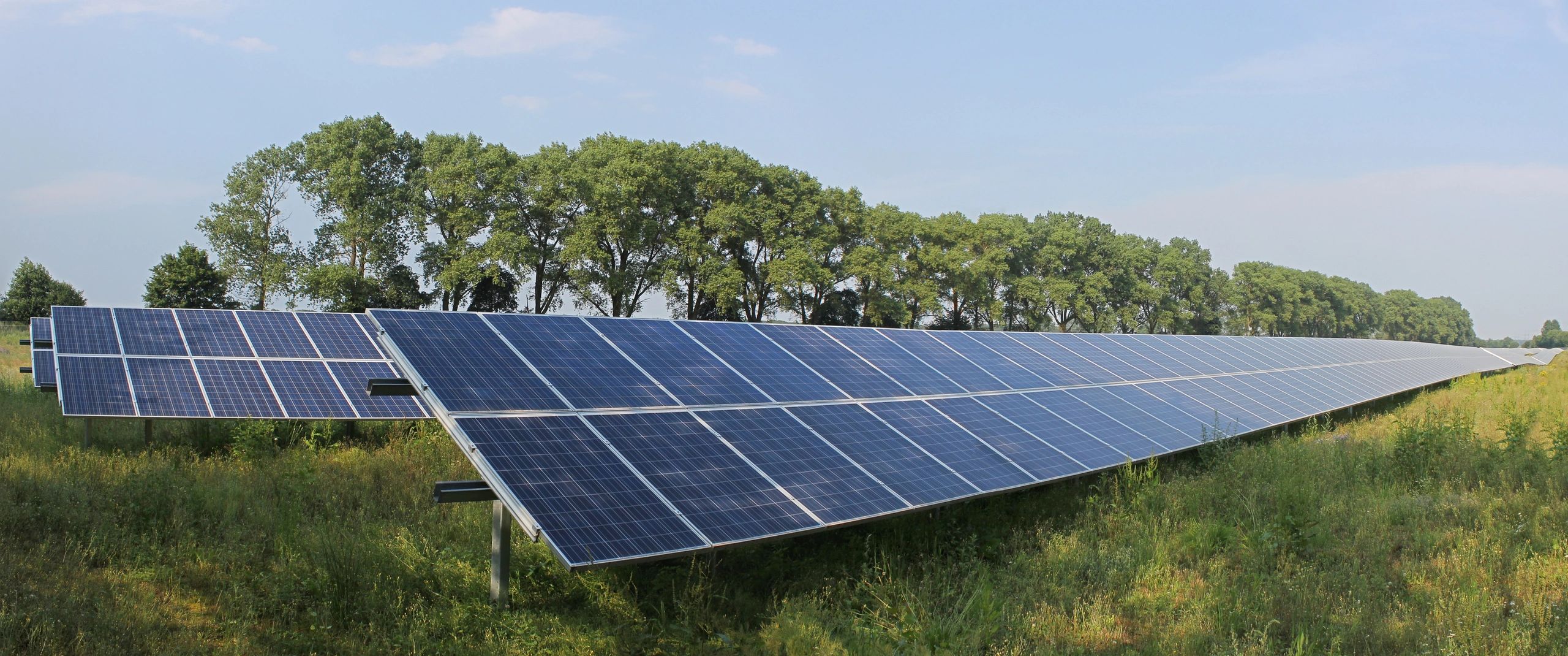 Wide view of a solar power plant with rows of panels